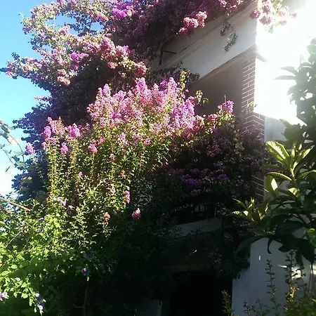 Duda Maison d'hôtes Podgorica