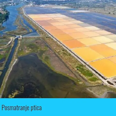 Duda Maison d'hôtes Podgorica